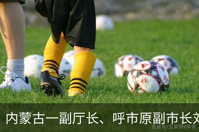 内蒙古一副厅长、呼市原副市长刘程民被查，曾被评担当作为好干部